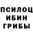 Галлюциногенные грибы Psilocybe Marina Nab