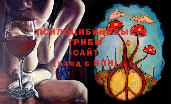 дурь Саяногорск