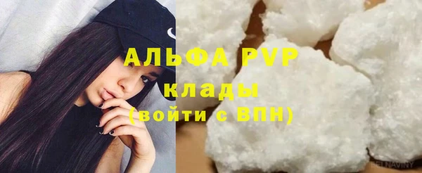PSILOCYBIN Балахна